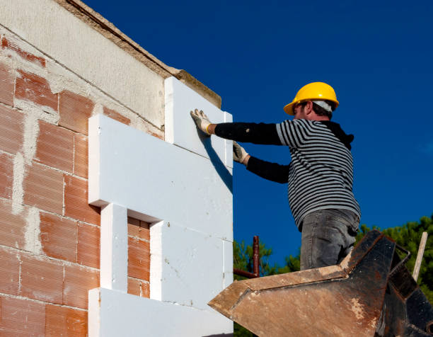 Best Insulation Repair Services  in San Rafael, NM
